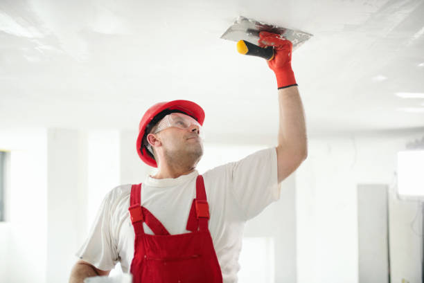 Best Painting for New Construction  in Apple Valley, OH