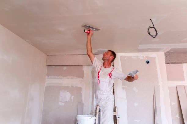 Best Eco-Friendly and Low-VOC Painting  in Apple Valley, OH